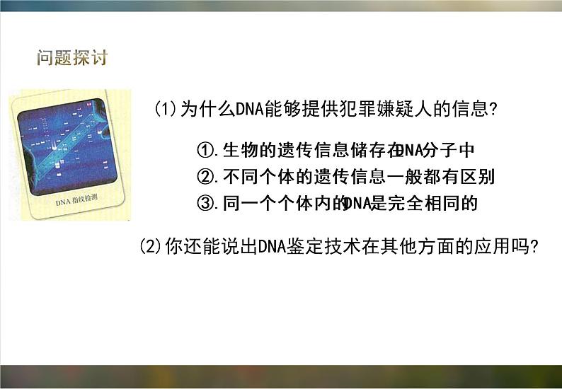 必修1 2.5 核酸是遗传信息的携带者课件（22张PPT）第3页