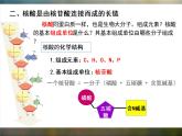 必修1 2.5 核酸是遗传信息的携带者课件（22张PPT）