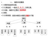 2.3 细胞中的糖类和脂质课件（23张PPT）