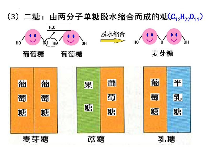 2.3 细胞中的糖类和脂质课件（23张PPT）06