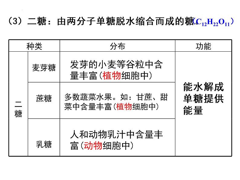 2.3 细胞中的糖类和脂质课件（23张PPT）07