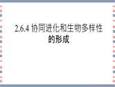 必修2 2.6.4协同进化与生物多样性的形成课件（15张PPT）