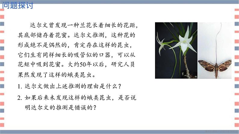 必修2 2.6.4协同进化与生物多样性的形成课件（15张PPT）02