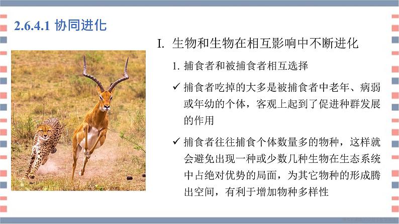 必修2 2.6.4协同进化与生物多样性的形成课件（15张PPT）03