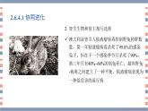 必修2 2.6.4协同进化与生物多样性的形成课件（15张PPT）
