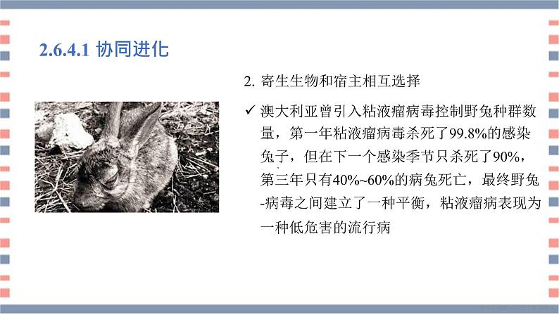 必修2 2.6.4协同进化与生物多样性的形成课件（15张PPT）04
