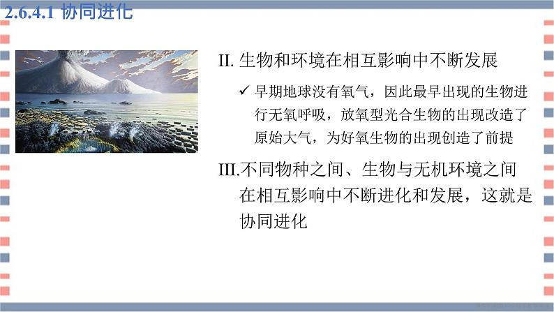 必修2 2.6.4协同进化与生物多样性的形成课件（15张PPT）05