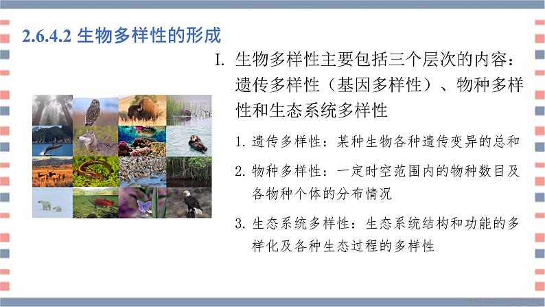 必修2 2.6.4协同进化与生物多样性的形成课件（15张PPT）06