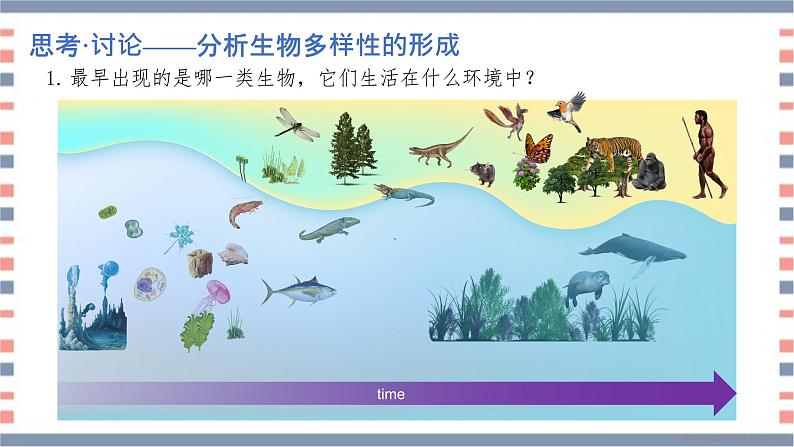 必修2 2.6.4协同进化与生物多样性的形成课件（15张PPT）07