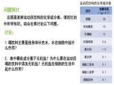 2.2细胞中的无机物课件（28张PPT）