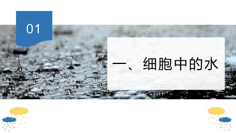 2.2细胞中的无机物课件（28张PPT）第3页