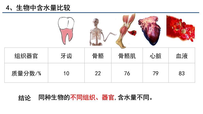 2.2细胞中的无机物课件（28张PPT）第8页