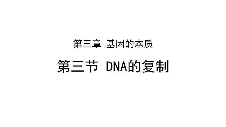 必修2 3.3DNA的复制课件（24张PPT）01