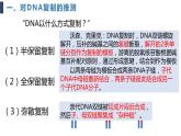 必修2 3.3DNA的复制课件（24张PPT）