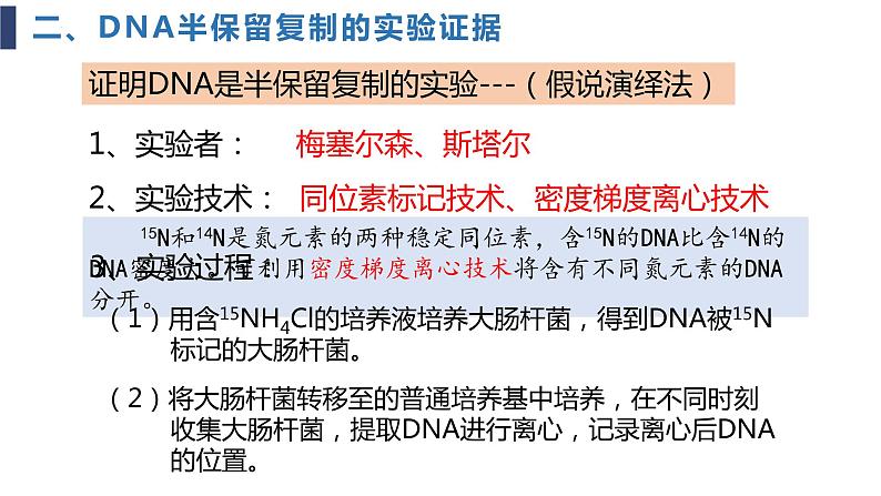 必修2 3.3DNA的复制课件（24张PPT）06