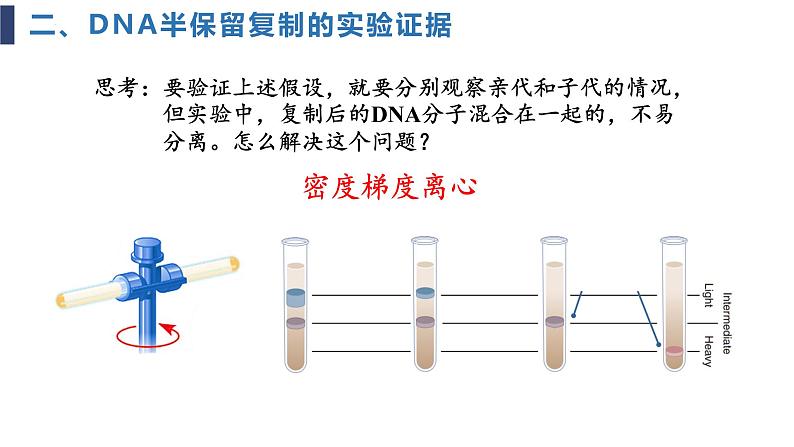 必修2 3.3DNA的复制课件（24张PPT）08