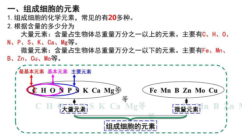 2.1 细胞中的元素和化合物课件（17张PPT）06