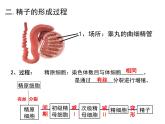 2.1 减数分裂第一课时课件 （36张PPT）