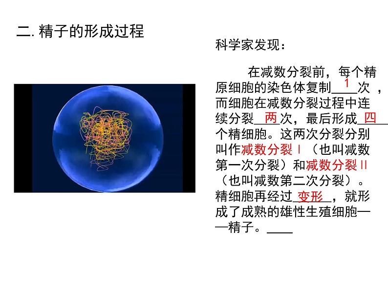 2.1 减数分裂第一课时课件 （36张PPT）第6页