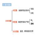 5.3 细胞呼吸的原理和应用课件（36张PPT）