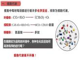 5.1.1酶的作用和本质课件（18张PPT）