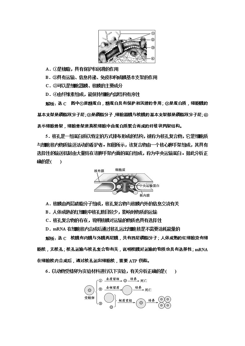 高考生物一轮课时跟踪检测05《细胞膜和细胞核》（含详解）第2页