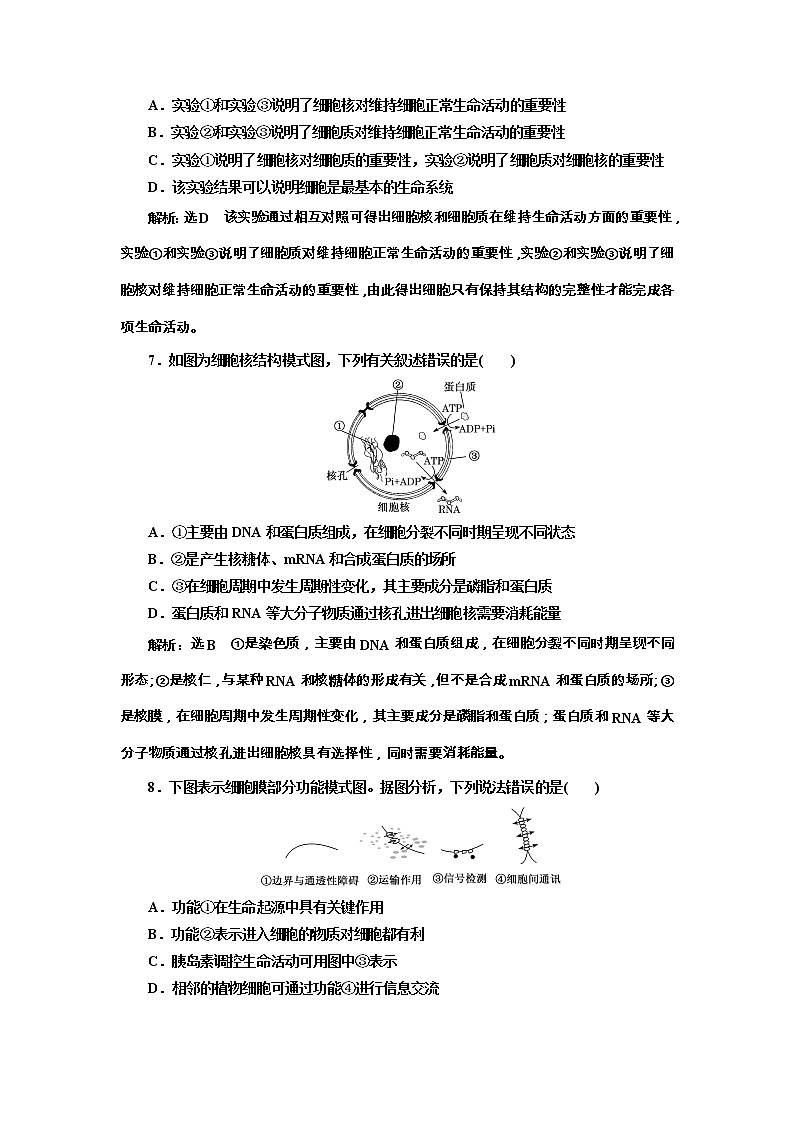 高考生物一轮课时跟踪检测05《细胞膜和细胞核》（含详解）第3页