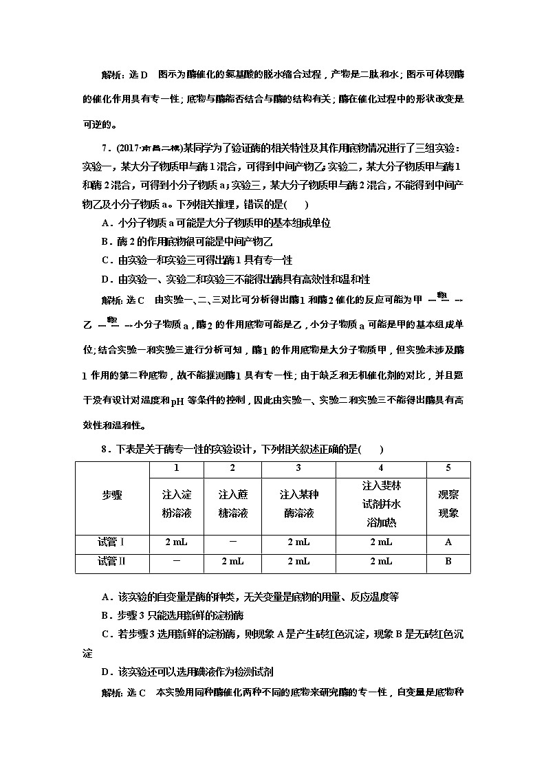 高考生物一轮课时跟踪检测08《降低化学反应活化能的酶》（含详解）03