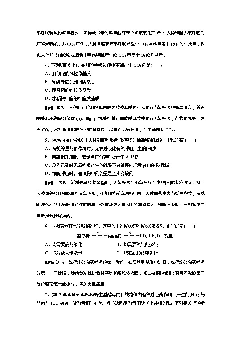 高考生物一轮课时跟踪检测09《ATP与细胞呼吸》（含详解）第2页