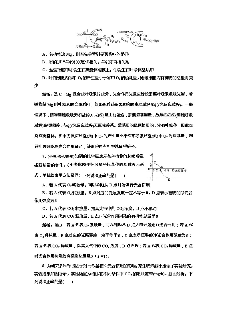 高考生物一轮课时跟踪检测11《光合作用与细胞呼吸的关系》（含详解）第3页