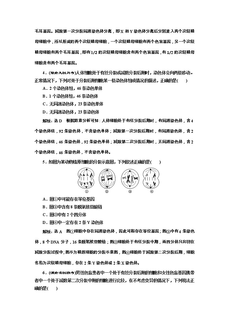 高考生物一轮课时跟踪检测13《减数分裂与受精作用》（含详解）02