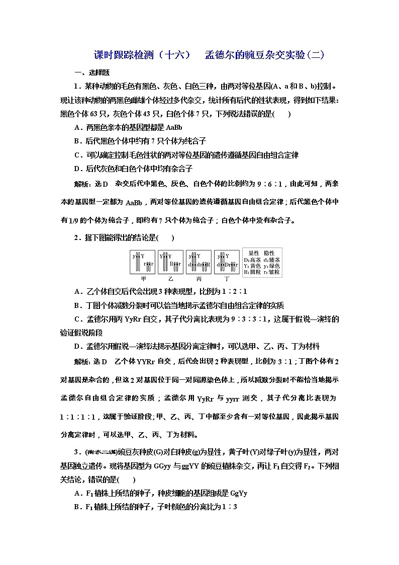 高考生物一轮课时跟踪检测16《孟德尔的豌豆杂交实验（二）》（含详解）01