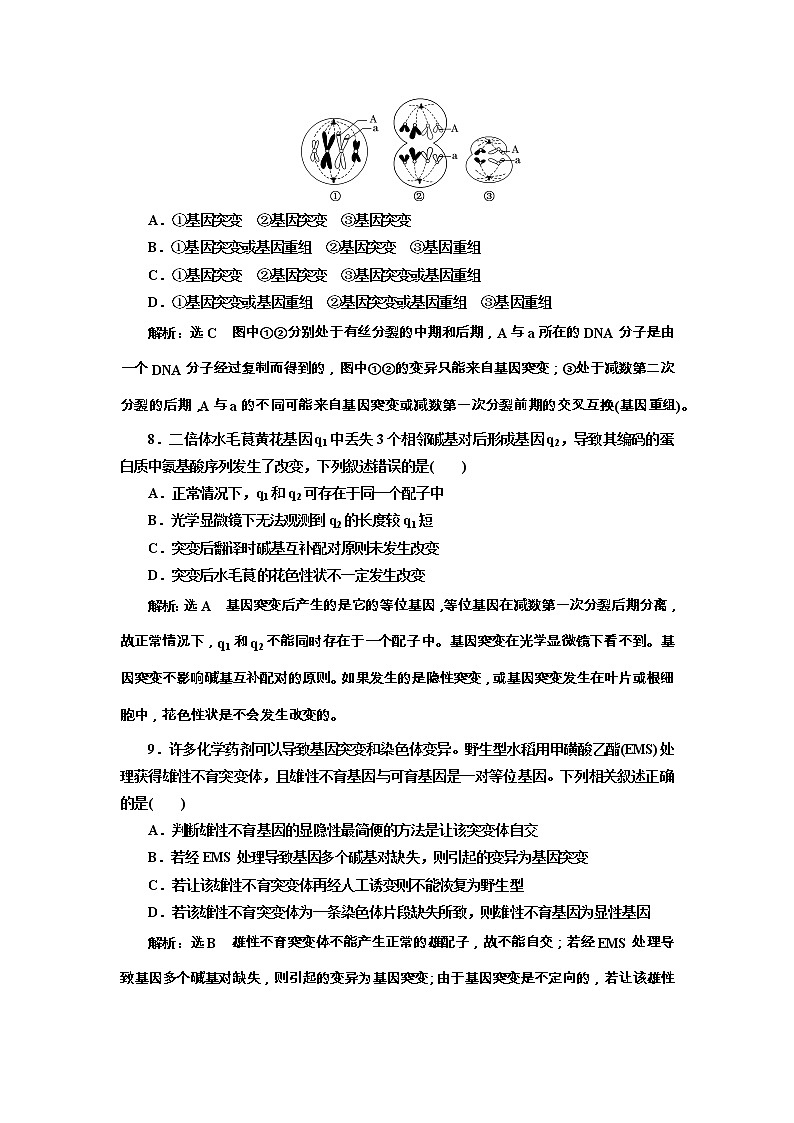 高考生物一轮课时跟踪检测22《基因突变和基因重组》（含详解）第3页
