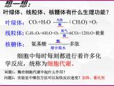必修1 第5章 第1节降低化学反应活化能的酶课件PPT