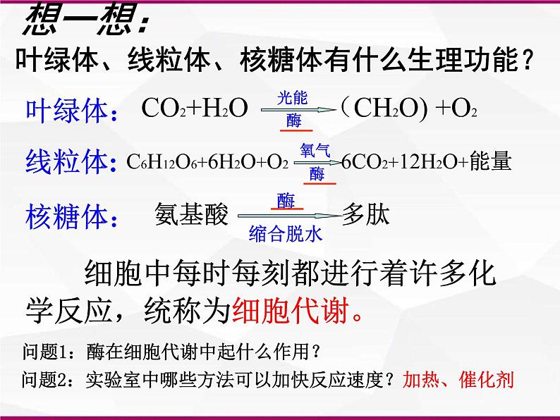 必修1 第5章 第1节降低化学反应活化能的酶课件PPT第3页