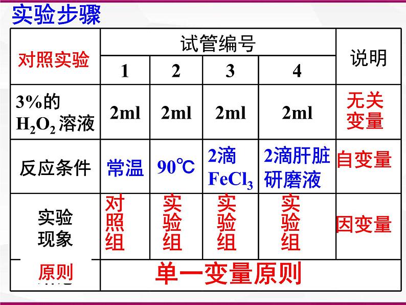 必修1 第5章 第1节降低化学反应活化能的酶课件PPT第6页