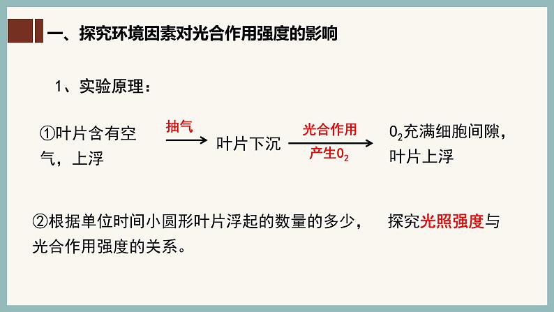 5.4.3光合作用原理的应用课件（29张PPT）04