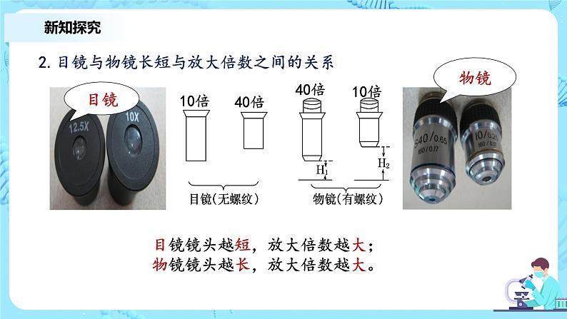 1.2《细胞的多样性与统一性》第1课时课件+教案+练习08