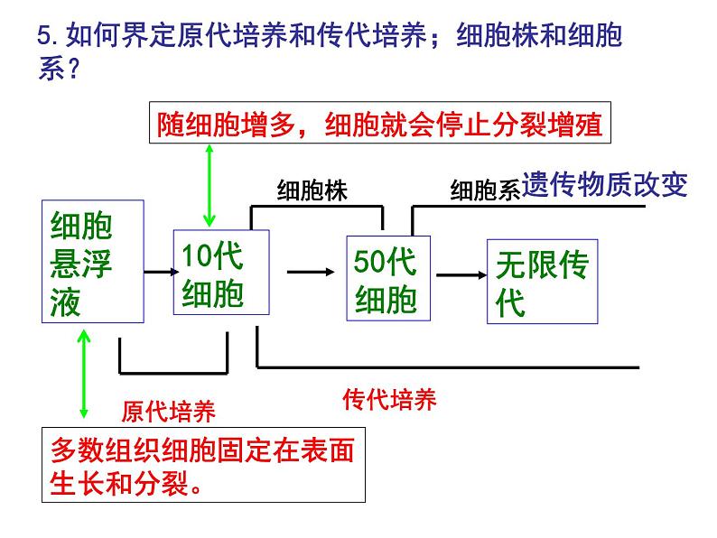 选修3 2.2《动物细胞工程》（44张PPT）第7页