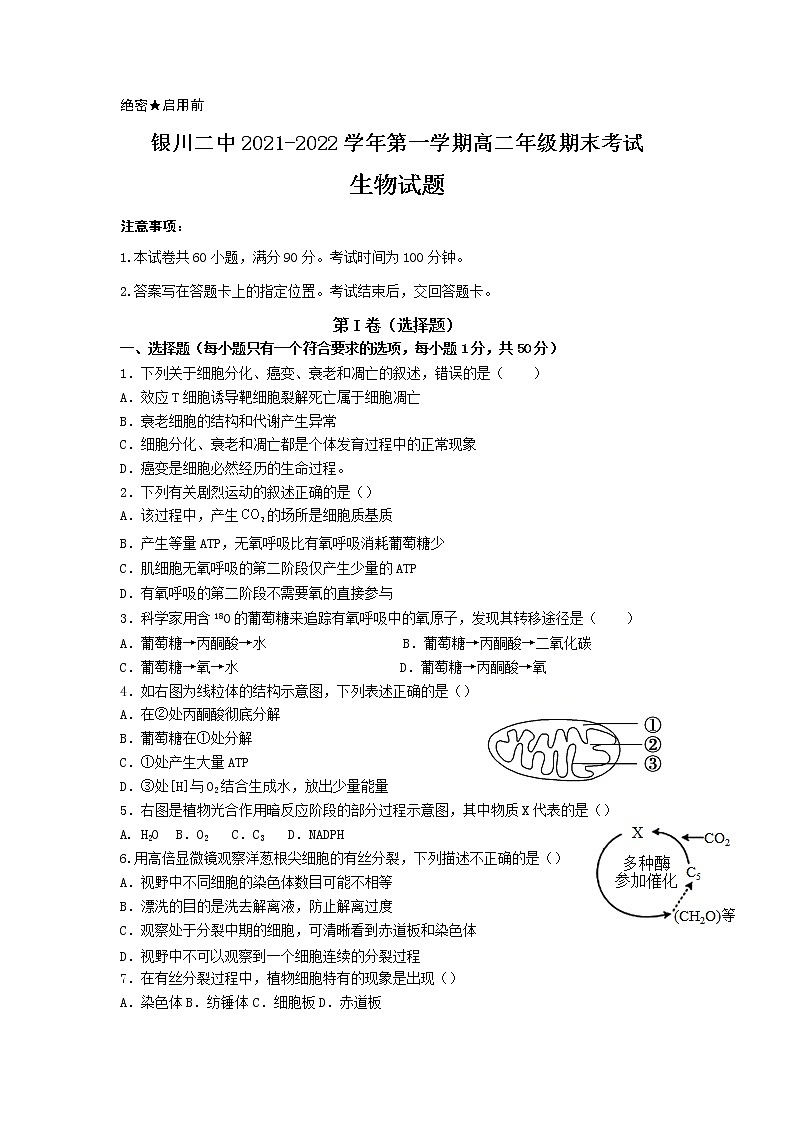 2022银川二中高二上学期期末考试生物试题含答案01