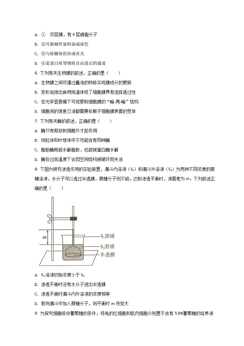 2022厦门高一上学期期末考试生物试题含答案02