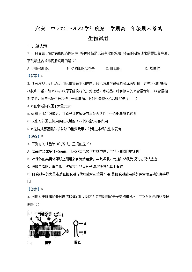 2022六安一中高一上学期期末考试生物含答案01