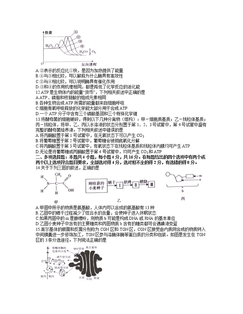 2022池州高一上学期期末考试生物含答案03