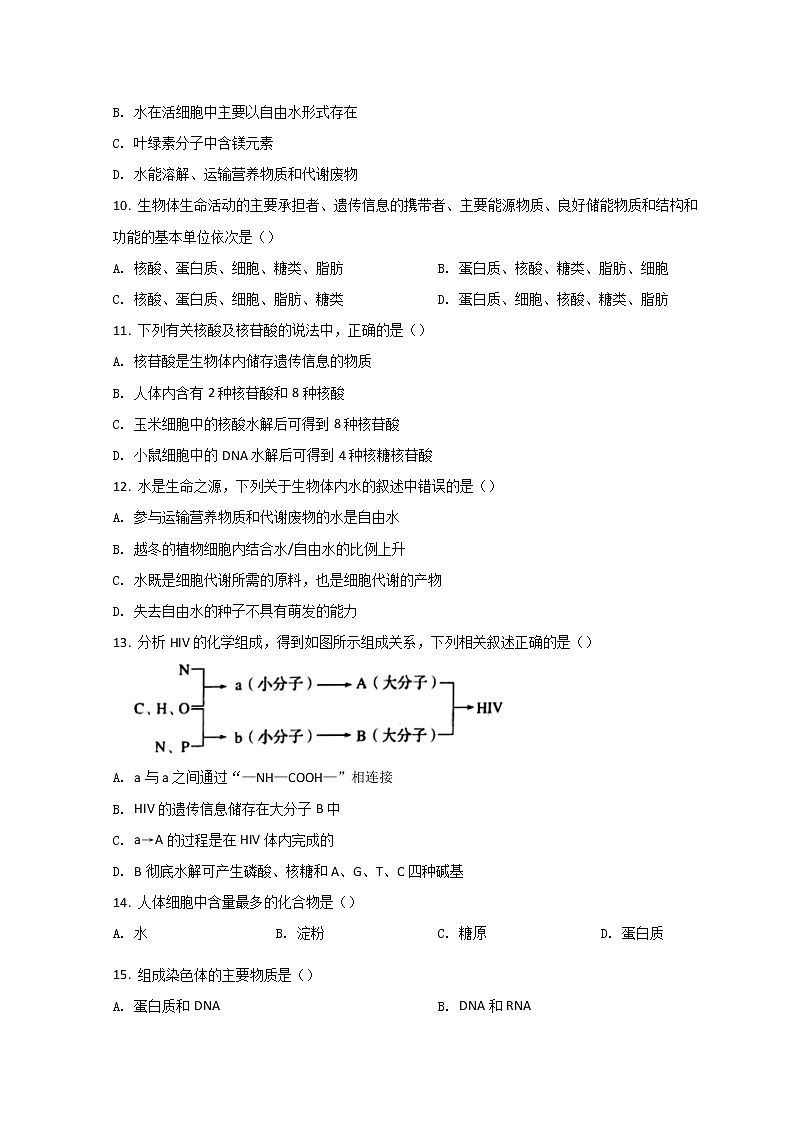 2022曲靖罗平县二中高一下学期3月月考生物试题含答案03