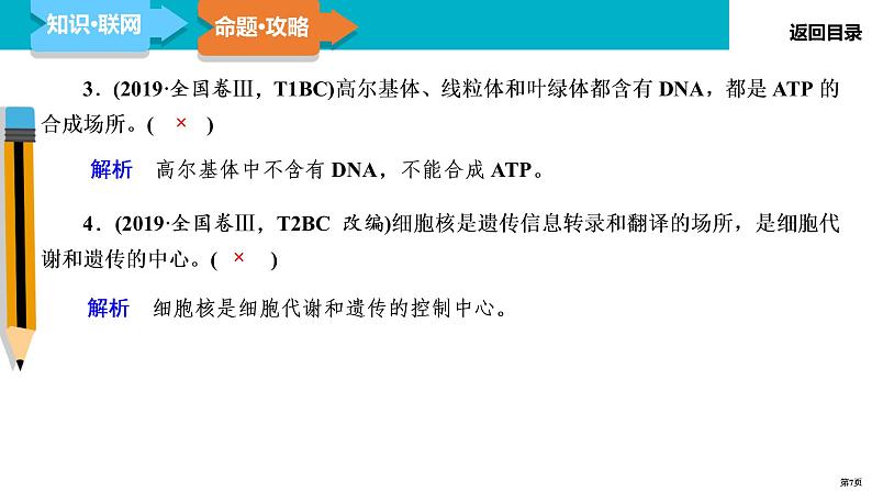 第2讲 细胞的基本结构和物质运输-2022届二轮复习生物课件PPT第7页