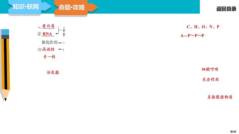 第3讲 酶和ATP-2022届二轮复习生物课件PPT第5页