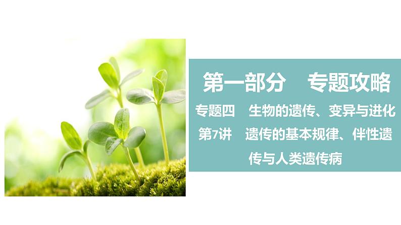 第7讲 遗传的基本规律、伴性遗传与人类遗传病-2022届二轮复习生物课件PPT第1页