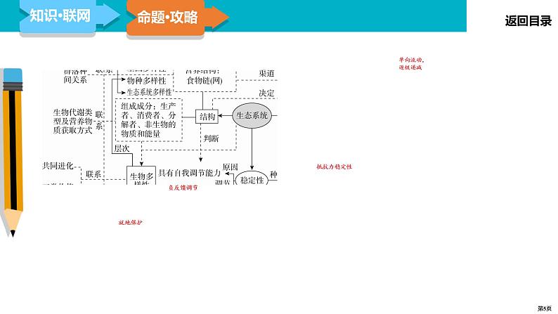 第13讲 生态系统及环境保护-2022届二轮复习生物课件PPT第5页