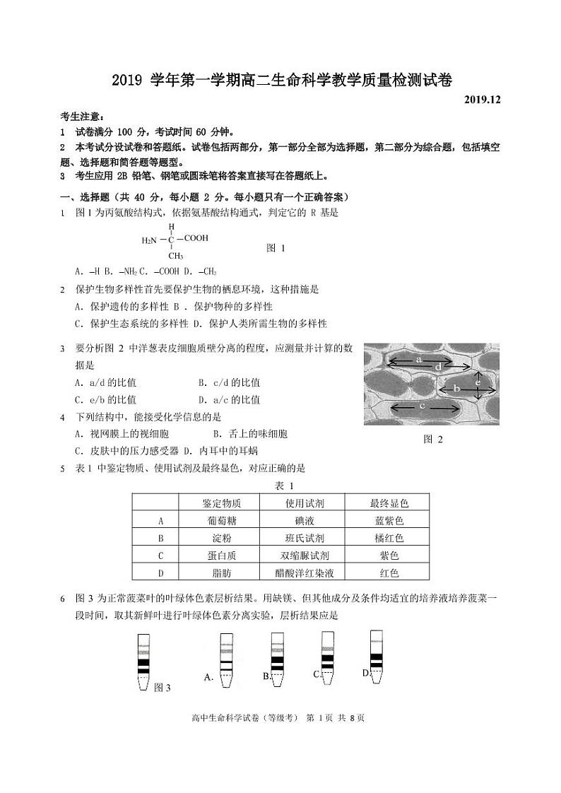 2020年上海市长宁区一模生物试卷和参考答案01