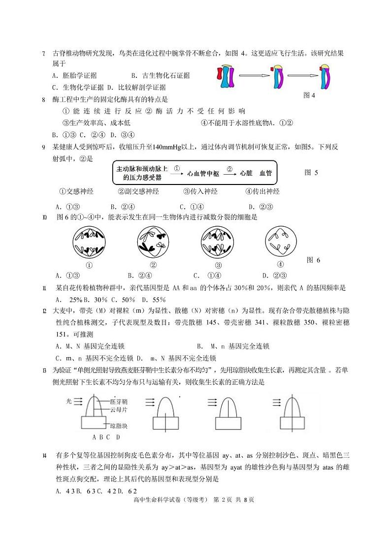 2020年上海市长宁区一模生物试卷和参考答案02